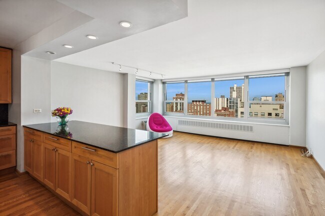 Foto del edificio - 1255 N Sandburg Terrace