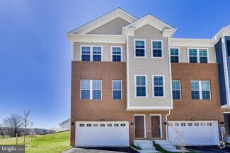 Building Photo - 7946 Solace Ct