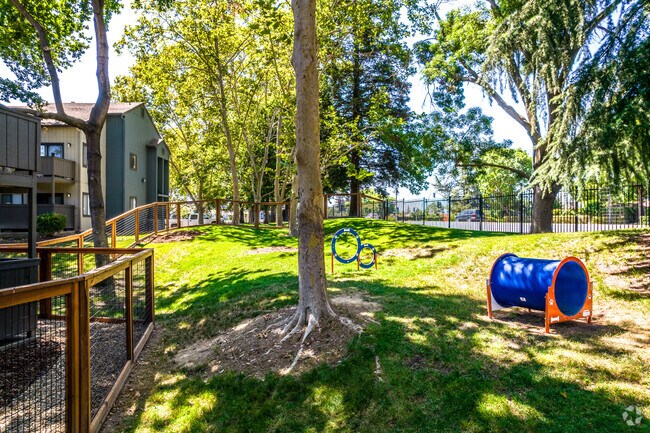 Parque para perros - Avana Vista Point