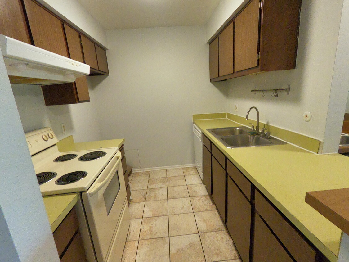 Kitchen - 3204 Raintree Cir