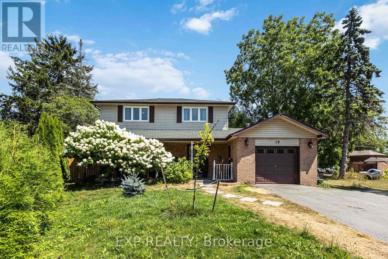 Primary Photo - 19 Preston Ct