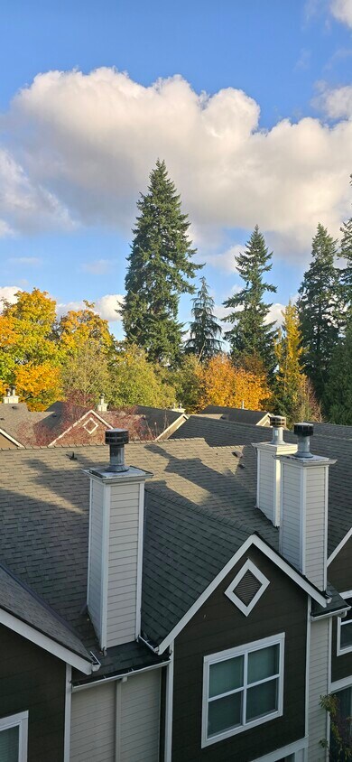 View from the Master Bedroom - 3116 164th St SW