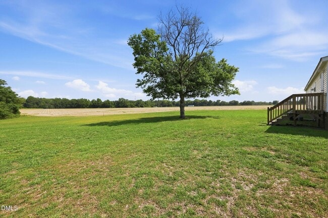 Building Photo - 1385 Live Oak Rd
