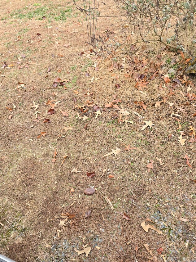 Primary Photo - 1002 Drinking Swamp Rd