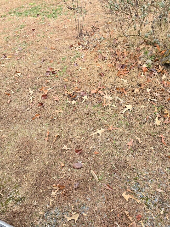 Building Photo - 1002 Drinking Swamp Rd