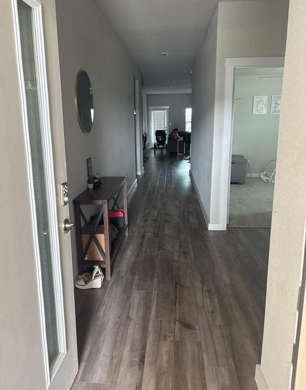 Building Photo - 500 Veneta Ln