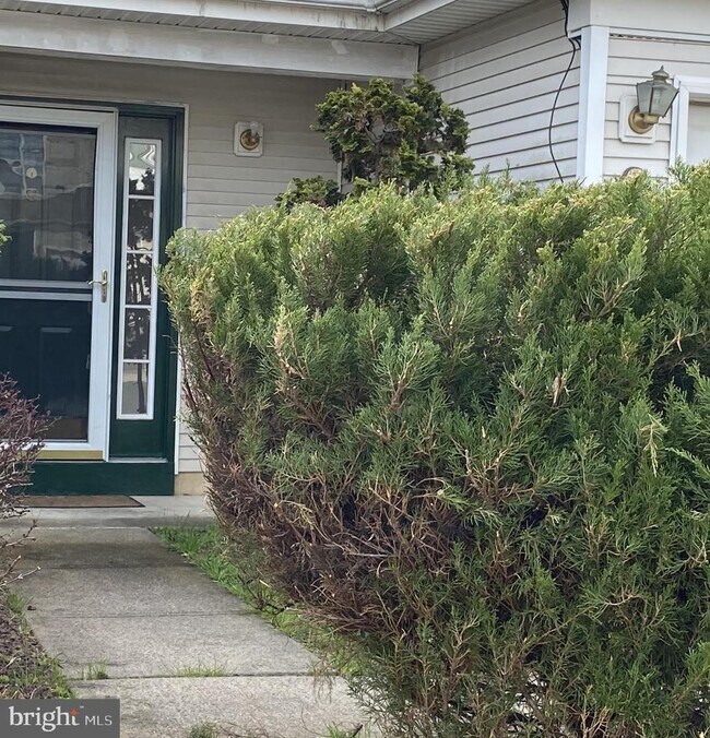 Foto del edificio - 65 Tattersall Dr