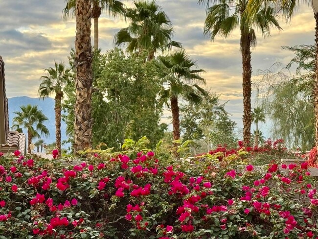 Foto del edificio - 78686 Hampshire Ave