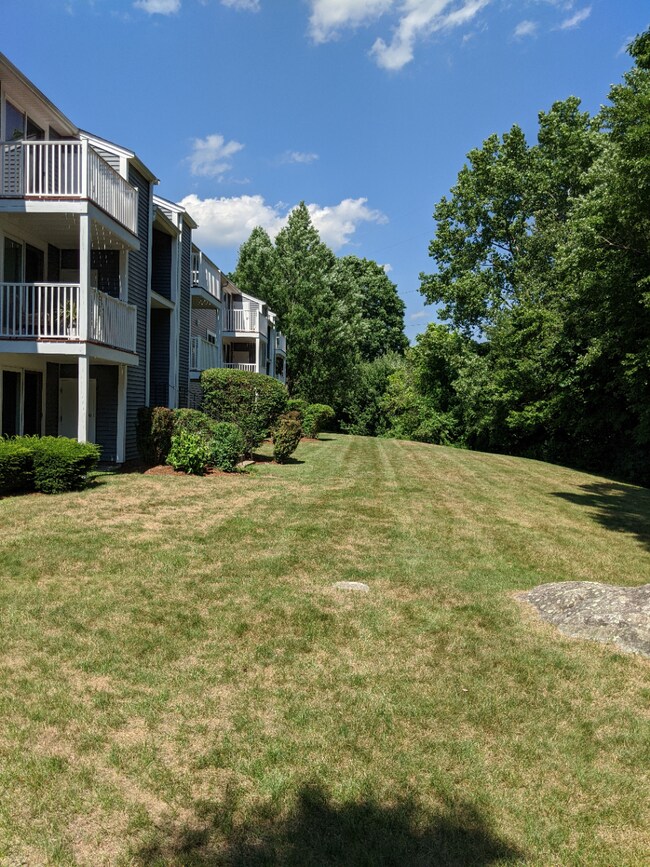 Parte trasera del edificio - 48 Silver Hill Ln