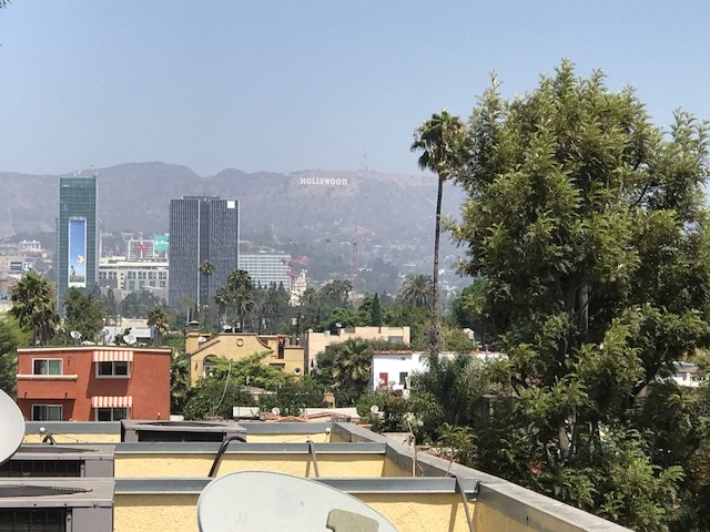 View from Roof Top - 5842 Waring Ave