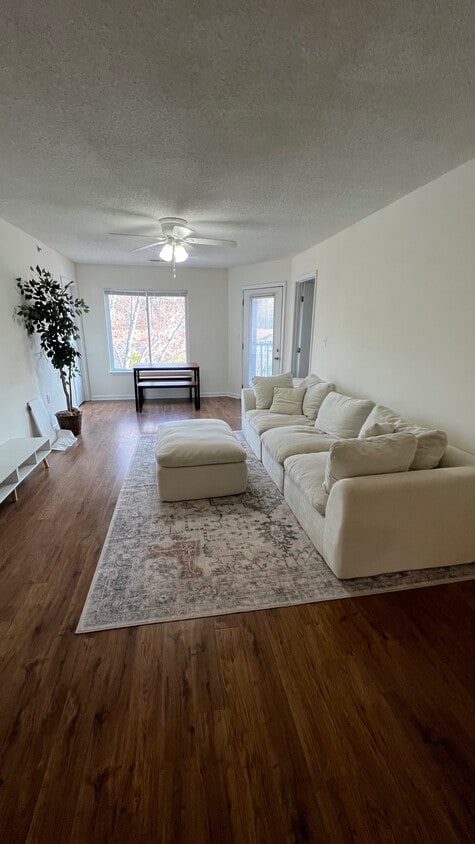Room in Condo on Collegiate Cir - Room in Condo on Collegiate Cir