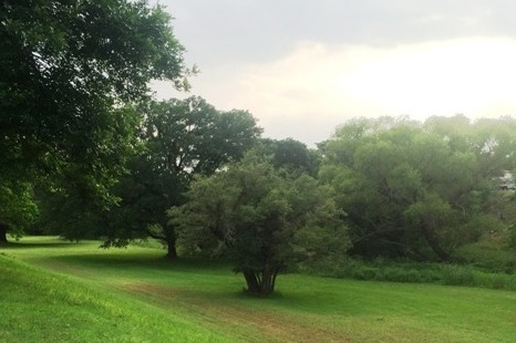 Building Photo - The Hills of Kerrville