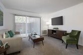 This single-floor residence in Westminster, California offers a well-organized and functional layout across a comfortable footprint. The living room is a welcoming space featuring plush carpeting, a textured ceiling, and large sliding glass doors fitted with vertical blinds that bathe the room in natural light and provide direct access to a private outdoor patio area. The open feel is complemented by neutral tones throughout.

The kitchen is efficiently designed in a galley-style configuration, featuring white cabinetry, granite-style countertops, wood-look flooring, recessed lighting, and white appliances including a range and refrigerator. Adjacent to the kitchen, a dedicated dining area with a ceiling fan provides a comfortable space for meals.

The bedrooms are carpeted and bright, each benefiting from natural light through sizable windows with vertical blinds. One bedroom includes a walk-in closet, offering generous storage. The bathroom features a vanity with granite-style countertops, white cabinetry, a vessel sink, and wood-look flooring, keeping the space clean and cohesive.

Throughout the home, a consistent palette of whites and warm neutrals creates a calm, cohesive ambiance. The combination of carpet in living and sleeping areas with wood-look flooring in the kitchen and bath adds visual variety while maintaining a unified aesthetic.