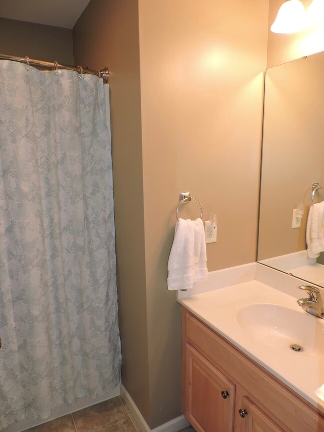 Guest Bath - 330 weatherstone drive
