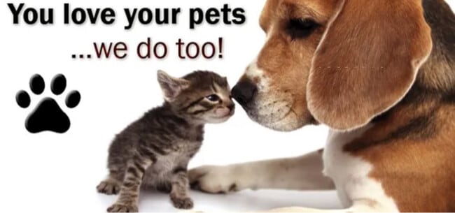 Building Photo - 5107 S Clarice Ct