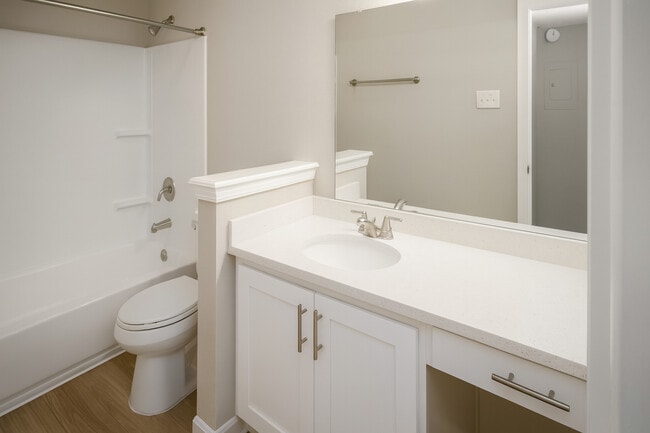 Premium Bathroom - Apex Hoover