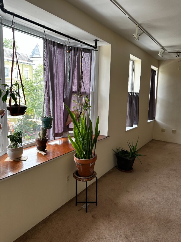 Foto del edificio - 1315 Park Rd NW