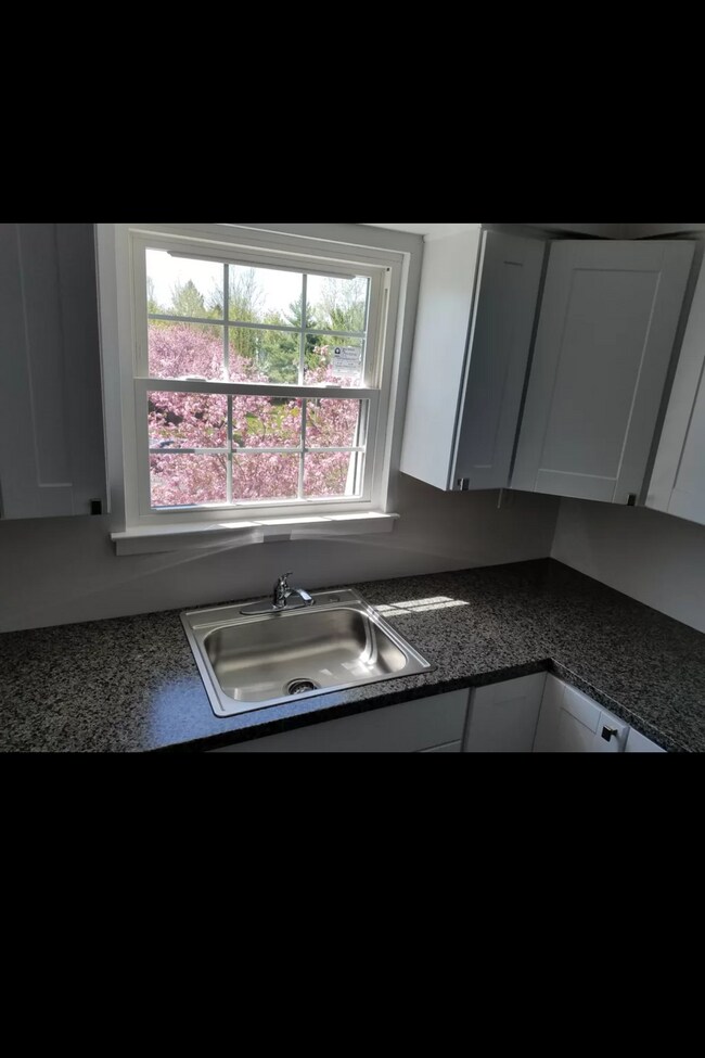 Kitchen Sink and Window - 702 Westminster Ct