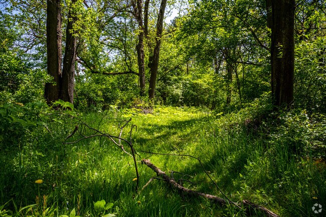 Nature lovers from Independence can explore the many trails throughout Cuyahoga Valley National Park.