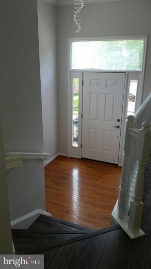 Foto del edificio - 4709 Caronia Way