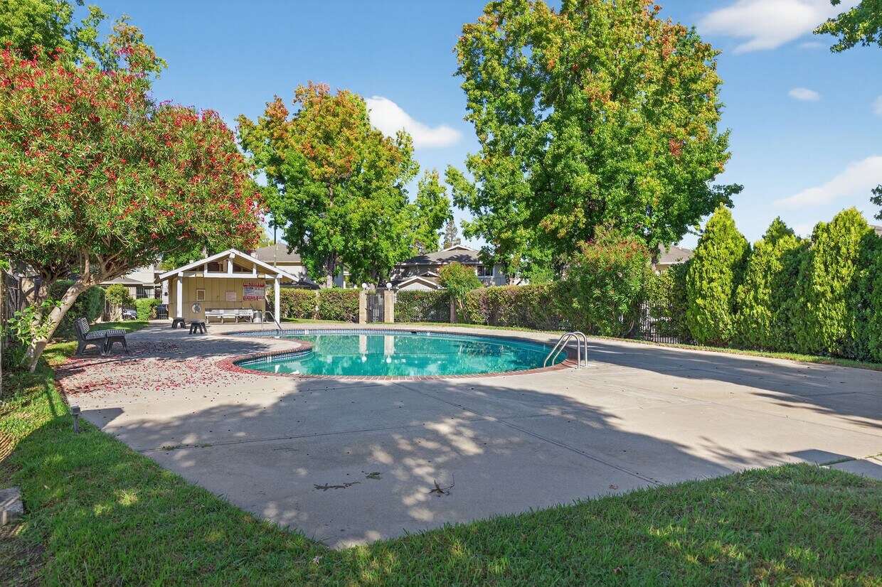 Foto principal - 2303 Saidel Dr