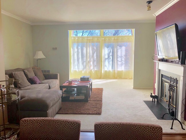 Living Room - 2807 Lee Oaks Ct
