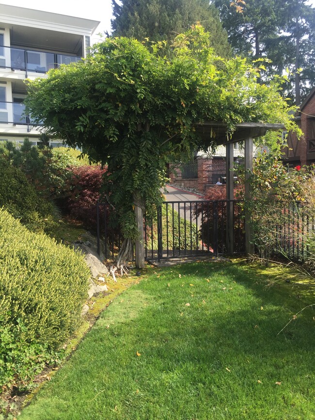 Common Area Lawns, Garden and Trellis - 6620 Lake Washington Blvd NE