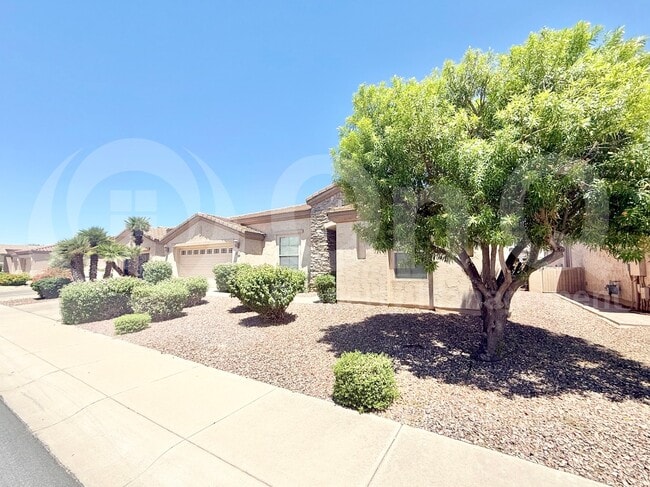 Building Photo - 4078 E Mia Ln