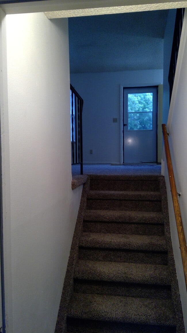 Foto del edificio - 3017 Moonbeam Cir N