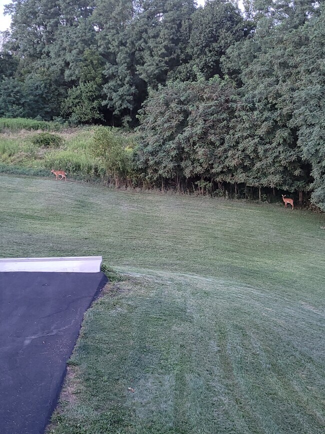 Foto del edificio - 1556 Farmersville Rd