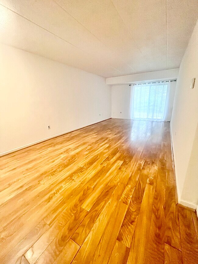 Main living room - 429 Shawmont Ave