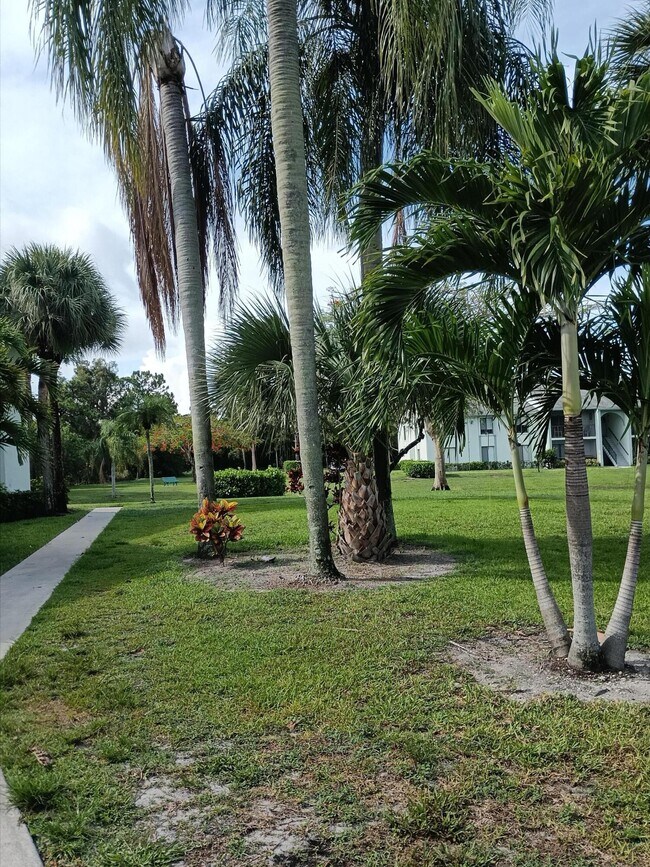 3618 Alder Dr Unit C2, West Palm Beach, FL 33417 Condo for Rent in