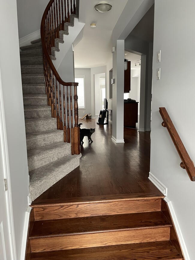 Photo du bâtiment - 52 Evelyn Powers Pvt