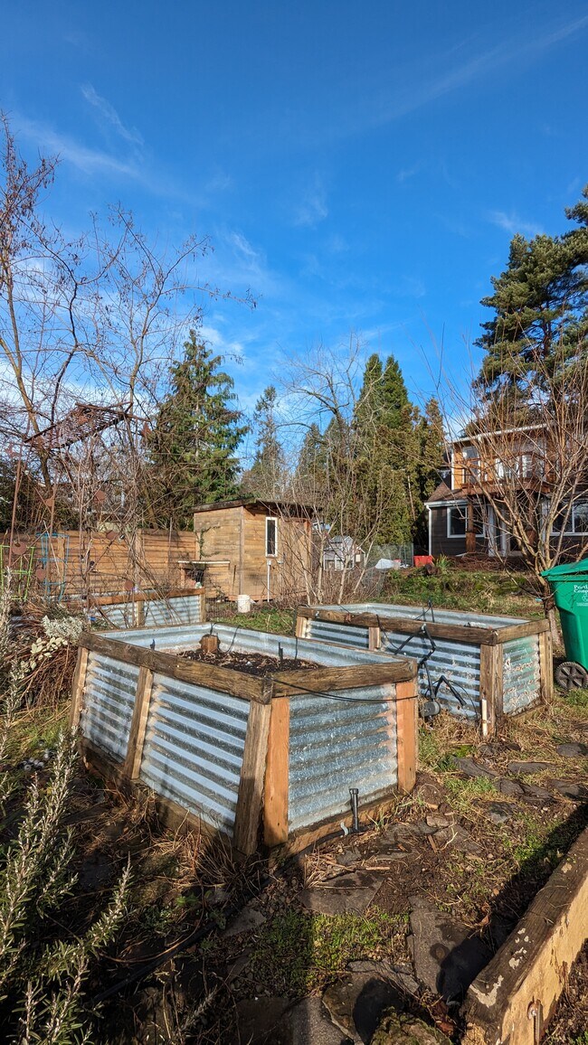 Garden beds - 4525 SE Malden Dr
