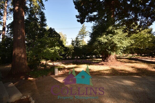 Foto del edificio - 13233 Ridge Rd