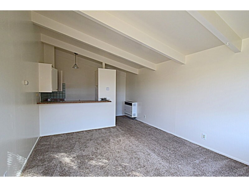 Primary Photo - LST MONTH FREE!! GOOD SIZED STUDIO - NEW L...