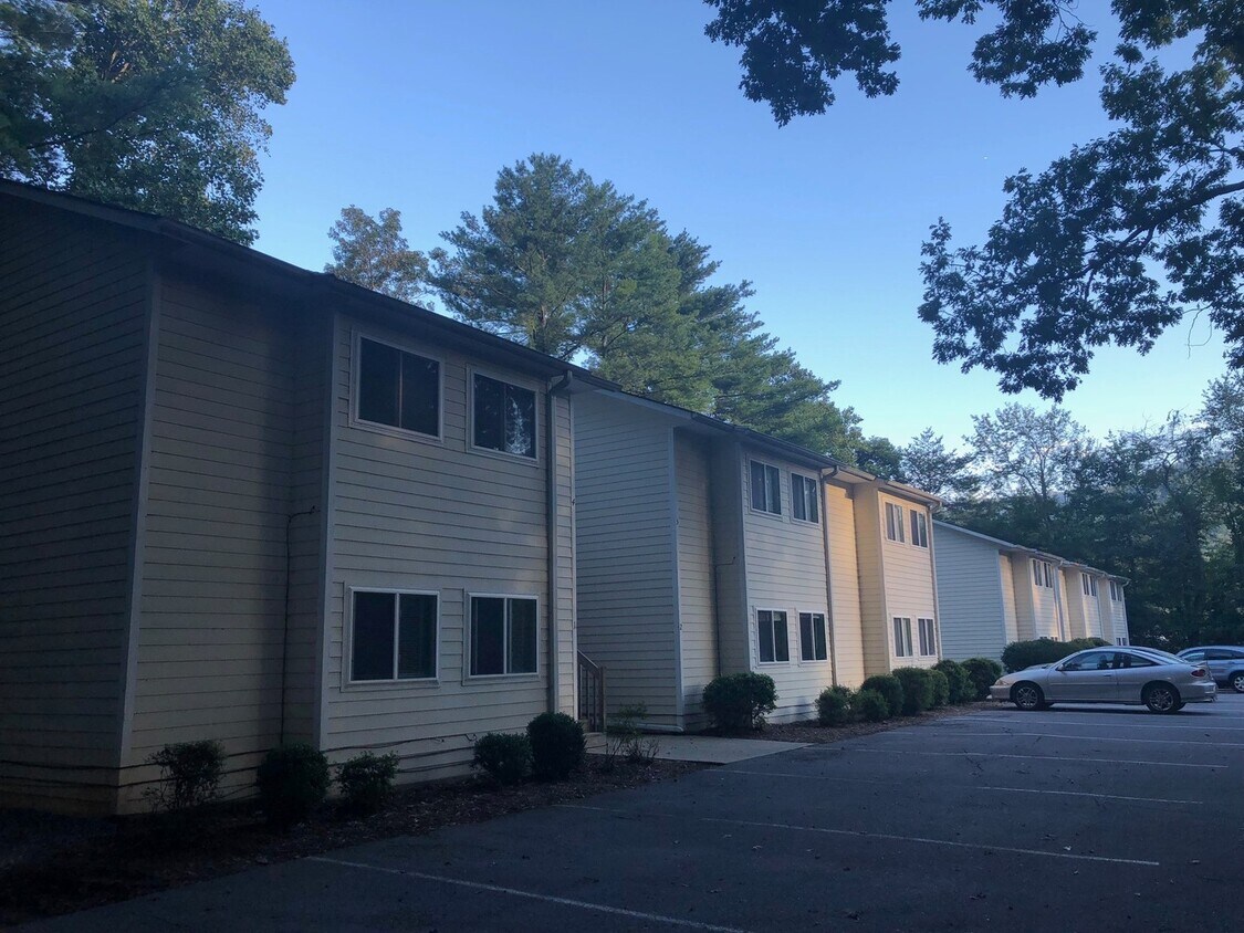Primary Photo - Black Mountain Apartment