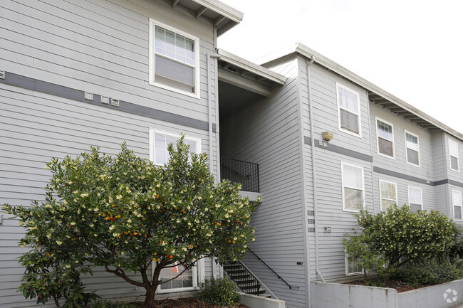 Foto del edificio - Cameron Court Apartments