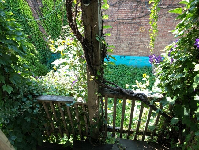 Back Staircase - 3109 N Western Ave
