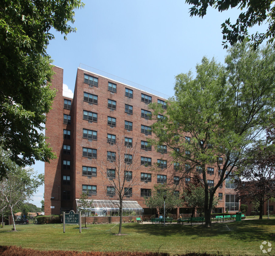 Primary Photo - New Haven Plaza