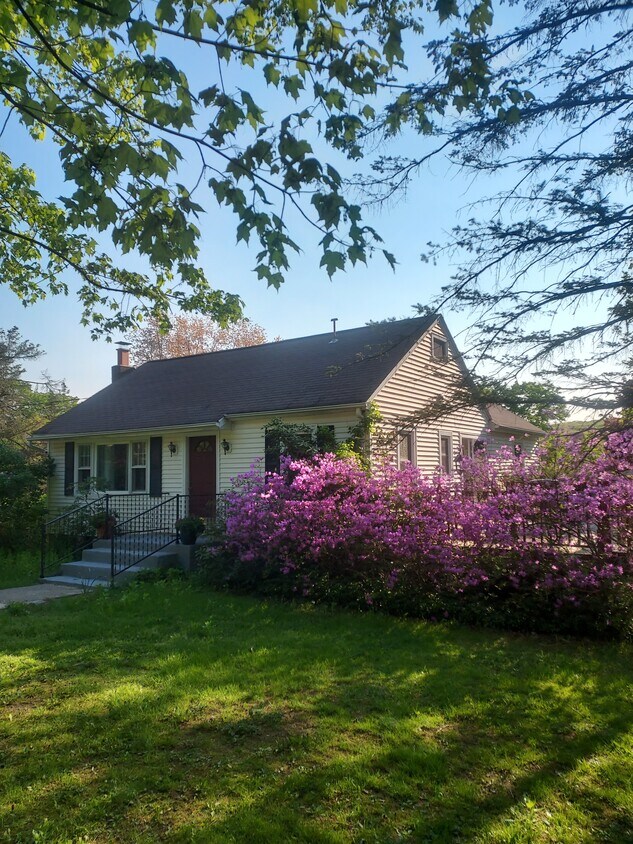 Primary Photo - 3 Orchard Ln