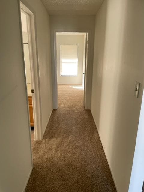 Foto del edificio - 1043 Neely St