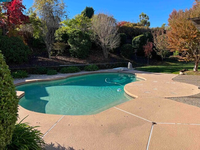 Building Photo - 2668 Celaya Cir