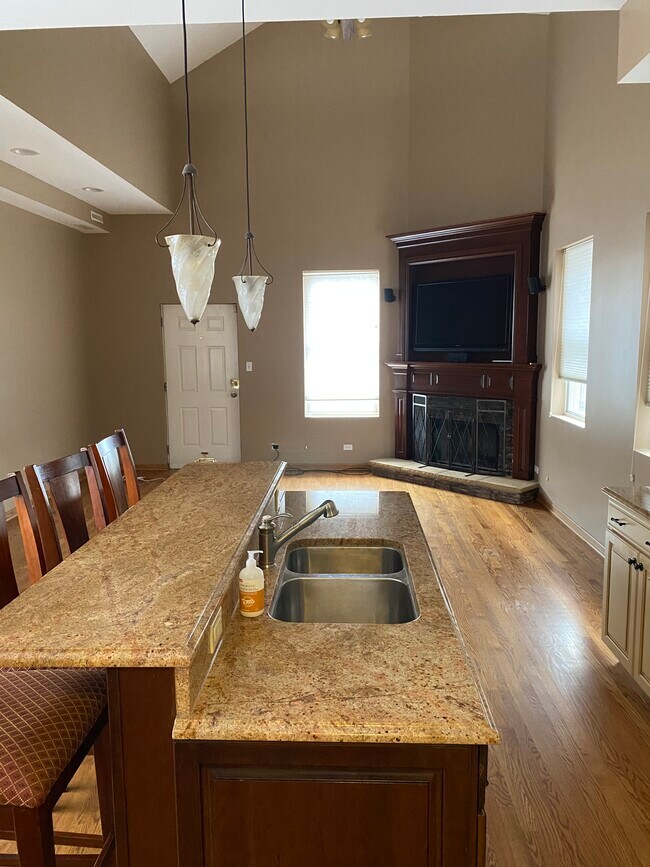 Kitchen and great room. 18’ ceilings. - 1843 N Sheffield Ave