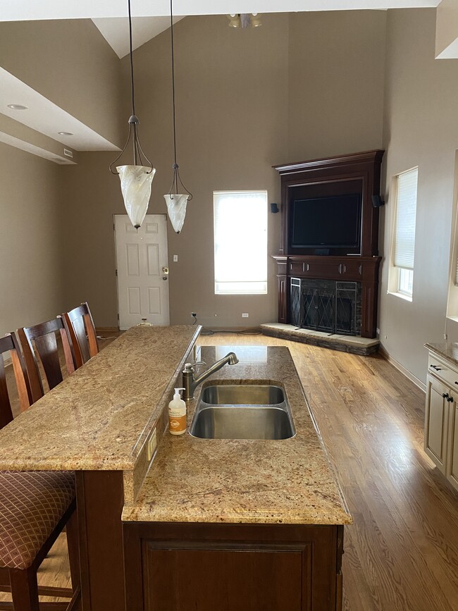 Kitchen and great room. 18’ ceilings. - 1843 N Sheffield Ave