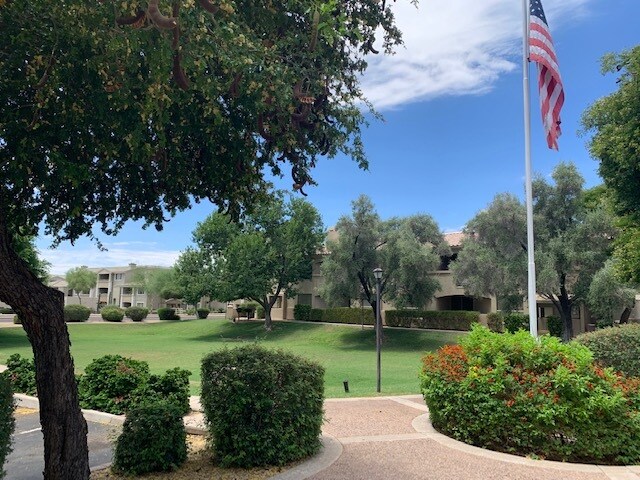 More landscaping - 9550 E Thunderbird Rd