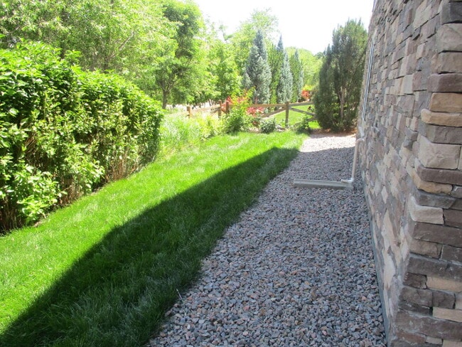 Photo - Walkout Basement Apartment - PRICED TO RENT - AVAIL 6/1/26