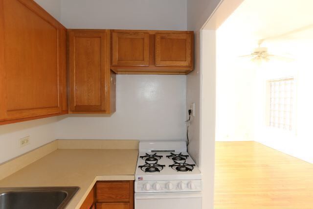 Foto del edificio - 1169 N Dearborn