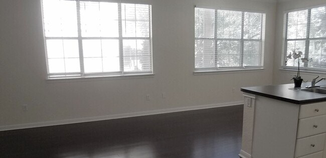 Foto del edificio - City View Wood Floor Updated Kitchen  2/2 ...