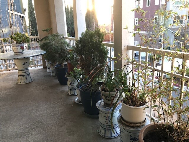 Foto del edificio - 939 Phelan Ave